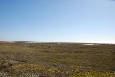 DSC_0009.jpg